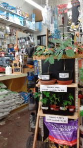 IMG_20190614_142220004